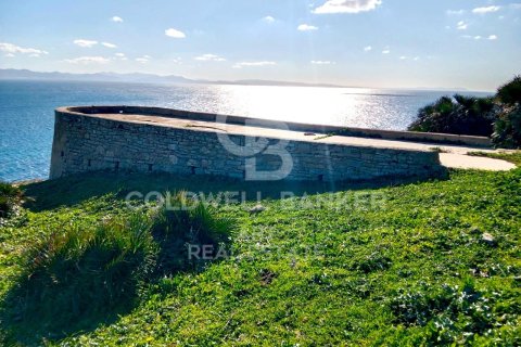 Tontti myytävänä Tarifa, Cadiz, Espanja , 117543 m2 No. 158577 - kuva 4
