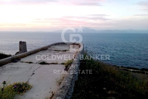 Tontti myytävänä Tarifa, Cadiz, Espanja , 117543 m2 No. 158577 - kuva 5