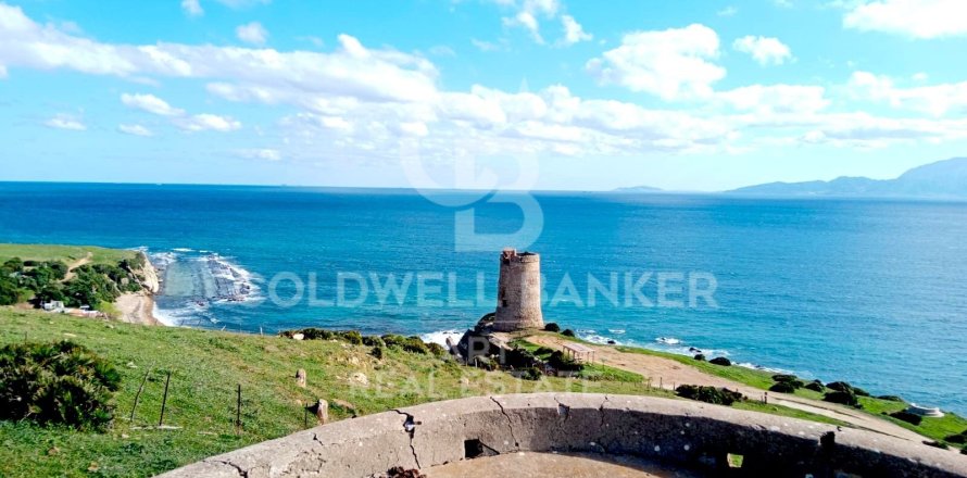 Tontti Tarifa, Cadiz, Espanja 117543 m2 No. 158577