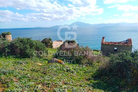Tontti myytävänä Tarifa, Cadiz, Espanja , 117543 m2 No. 158577 - kuva 9