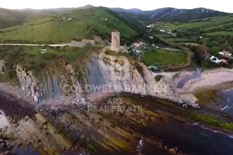Tontti myytävänä Tarifa, Cadiz, Espanja , 117543 m2 No. 158577 - kuva 12