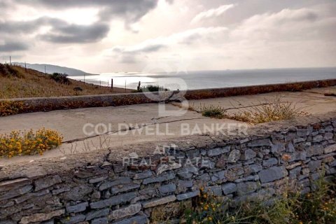 Tontti myytävänä Tarifa, Cadiz, Espanja , 117543 m2 No. 158577 - kuva 7