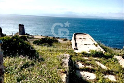 Tontti myytävänä Tarifa, Cadiz, Espanja , 117543 m2 No. 158577 - kuva 4