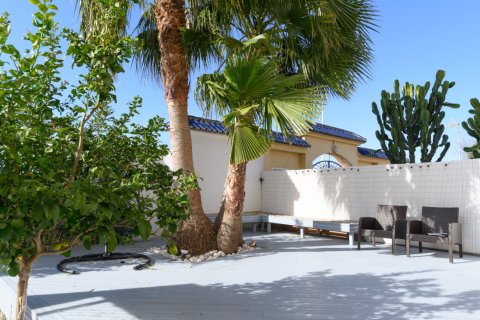 Lägenhet till salu i La Mata, Alicante, Spanien 2 sovrum, 57 kvm. Nr. 149972 - foto 19