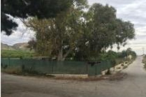 Terreno in vendita a Jacarilla, Alicante, Spagna 3 camere da letto,  N° 149969 - foto 4