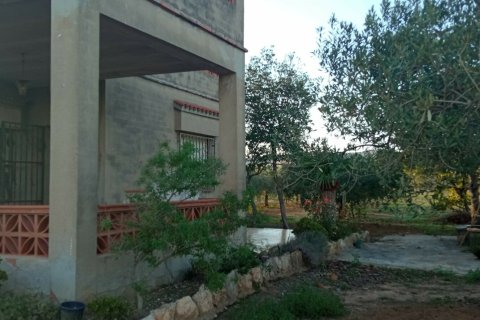 Продажа земельного участка в Виланова-и-ла-Желтру, Барселона, Испания 16000м2 №154181 - фото 7