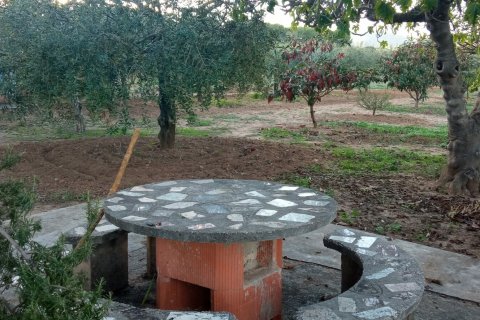 Продажа земельного участка в Виланова-и-ла-Желтру, Барселона, Испания 16000м2 №154181 - фото 6