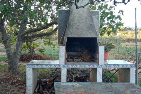 Продажа земельного участка в Виланова-и-ла-Желтру, Барселона, Испания 16000м2 №154181 - фото 5