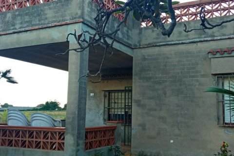 Продажа земельного участка в Виланова-и-ла-Желтру, Барселона, Испания 16000м2 №154181 - фото 8