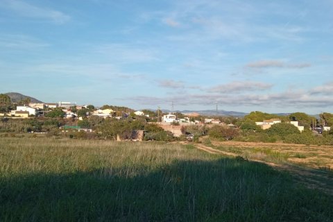 Продажа земельного участка в Виланова-и-ла-Желтру, Барселона, Испания 16000м2 №154181 - фото 2