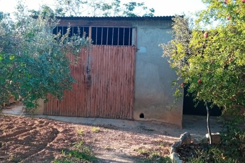 Продажа земельного участка в Виланова-и-ла-Желтру, Барселона, Испания 16000м2 №154181 - фото 4