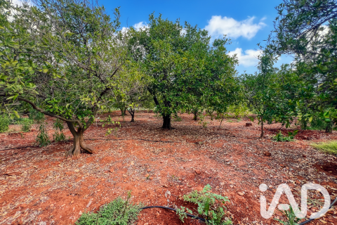 Propiedad comercial en venta en Oliva, València, España No. 193500 - foto 11