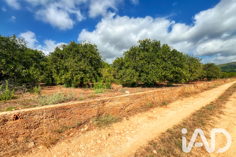 Propiedad comercial en venta en Oliva, València, España No. 193500 - foto 24