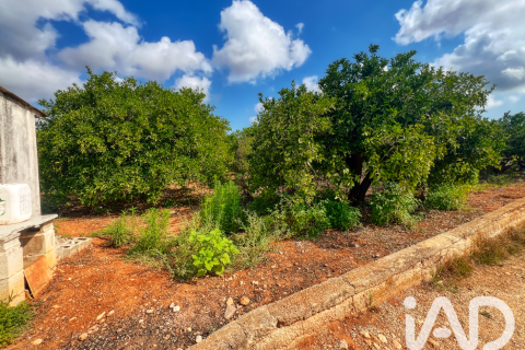 Propiedad comercial en venta en Oliva, València, España No. 193500 - foto 4