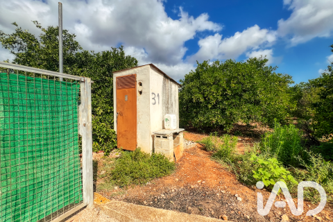 Propiedad comercial en venta en Oliva, València, España No. 193500 - foto 5