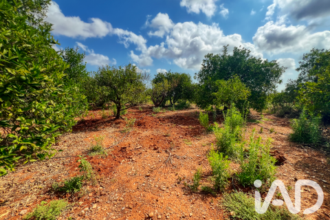 Propiedad comercial en venta en Oliva, València, España No. 193500 - foto 14