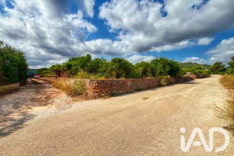Propiedad comercial en venta en Oliva, València, España No. 193500 - foto 26