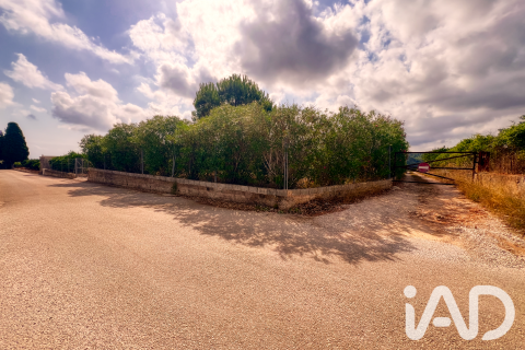 Propiedad comercial en venta en Oliva, València, España No. 193500 - foto 29
