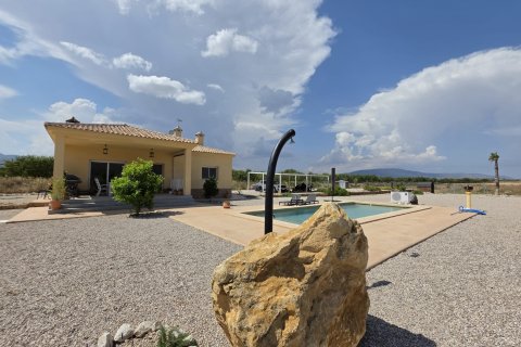 Villa i Pinoso, Alicante, Spanien 3 sovrum, 127 kvm. Nr. 190198