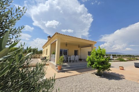 Villa zum Verkauf in Pinoso, Alicante, Spanien 3 Schlafzimmer, 127 m2 Nr. 190198 - Foto 4