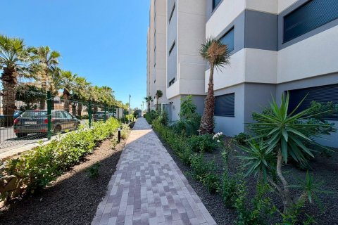 Apartment for sale in Punta Prima, Alicante, Spain 2 bedrooms, 76 sq.m. No. 190196 - photo 30