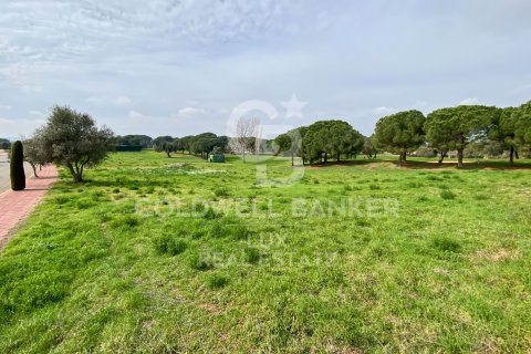 Land plot for sale in Peralada, Girona, Spain 2552 sq.m. No. 159432 - photo 4