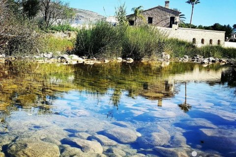 Dom w Xalo, Alicante, Hiszpania 6 sypialni, 556 mkw. nr 154146 – zdjęcie 25