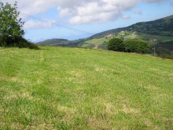 Tontti Cudillero, Asturias, Espanja No. 182893