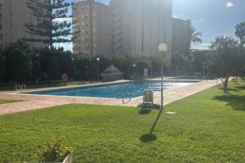 Apartament w Finestrat, Alicante, Hiszpania 29 mkw. nr 182890 – zdjęcie 3