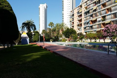 Apartament w Finestrat, Alicante, Hiszpania 29 mkw. nr 182890 – zdjęcie 7