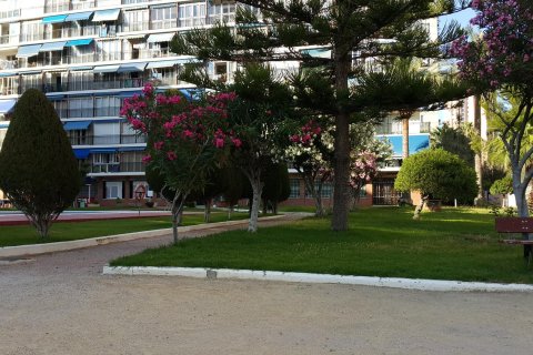 Apartament w Finestrat, Alicante, Hiszpania 29 mkw. nr 182890 – zdjęcie 4