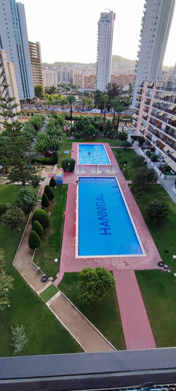 Appartamento a Finestrat, Alicante, Spagna 29 mq. N° 182890