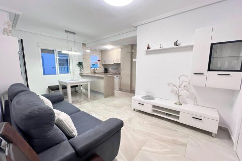Appartamento a Torrevieja, Alicante, Spagna 60 mq. N° 182892