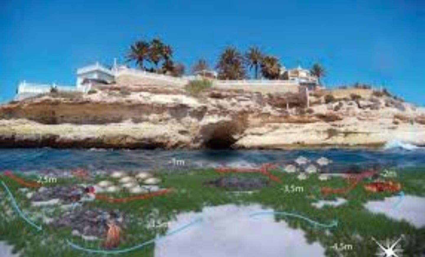 Działka w El Campello, Alicante, Hiszpania nr 182891