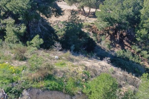 Terreno in vendita a El Campello, Alicante, Spagna N° 182891 - foto 8