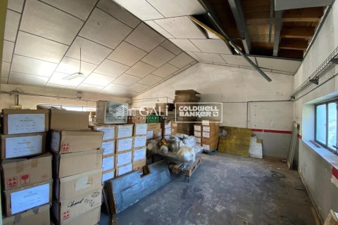 Kommersiell fastighet för uthyrning i Principado De Andorra (Ninguna Poblacion Tiene C.P.), Lleida, Spanien 1186 kvm. Nr. 160523 - foto 7