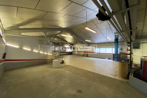 Kommersiell fastighet för uthyrning i Principado De Andorra (Ninguna Poblacion Tiene C.P.), Lleida, Spanien 1186 kvm. Nr. 160523 - foto 2