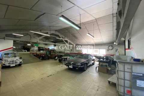 Kommersiell fastighet för uthyrning i Principado De Andorra (Ninguna Poblacion Tiene C.P.), Lleida, Spanien 1186 kvm. Nr. 160523 - foto 3