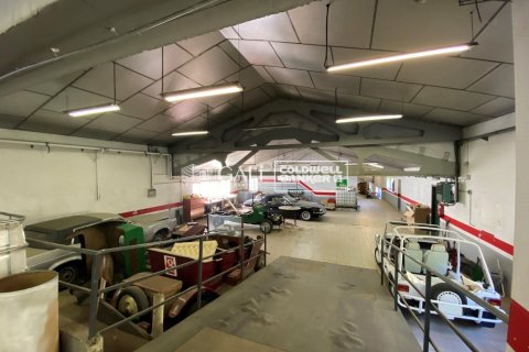 Kommersiell fastighet för uthyrning i Principado De Andorra (Ninguna Poblacion Tiene C.P.), Lleida, Spanien 1186 kvm. Nr. 160523 - foto 6