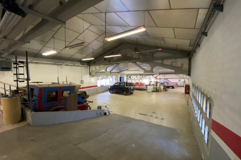 Commercial property à Principado De Andorra (Ninguna Poblacion Tiene C.P.), Lleida, Espagne 1186 m2 No. 160523