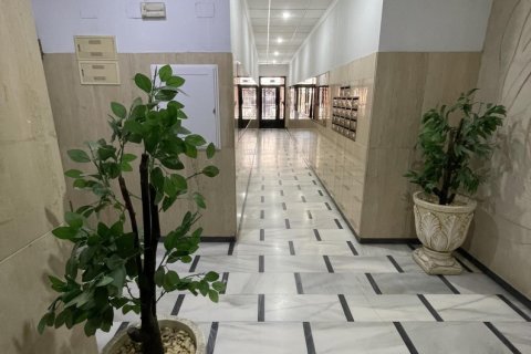 Продажа пентхауса в Ла Мата, Аликанте, Испания 3 спальни, 104м2 №155043 - фото 18