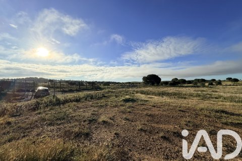 Продажа земельного участка в Вильябланка, Уэльва, Испания 19674м2 №184911 - фото 3