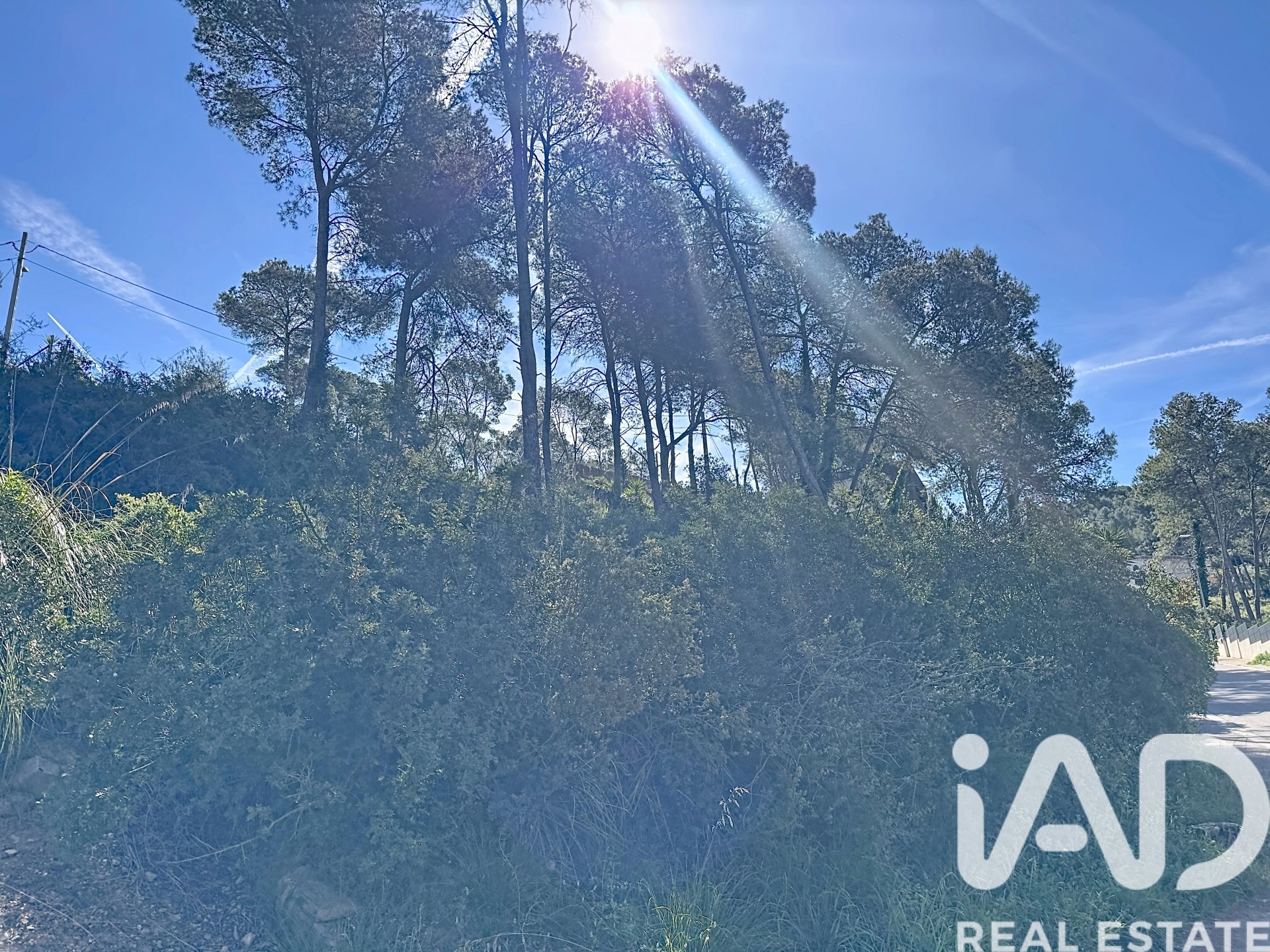 Land plot in Olivella, Barcelona, Spain 894 sq.m. No. 184910
