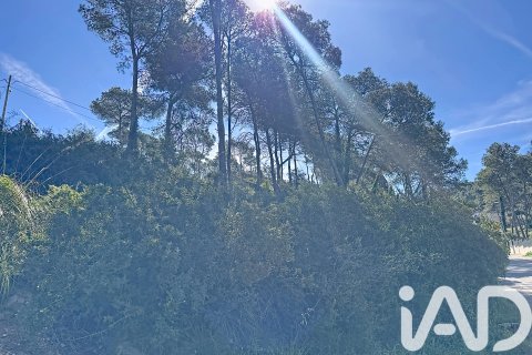 Land plot à vendre à Olivella, Barcelona, Espagne, 894 m2 No. 184910 - photo 16