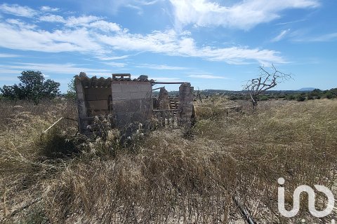 Liikekiinteistö myytävänä Llubi, Mallorca, Espanja ,  No. 153076 - kuva 12