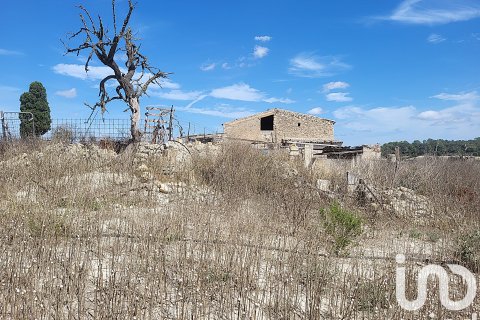 Liikekiinteistö myytävänä Llubi, Mallorca, Espanja ,  No. 153076 - kuva 21