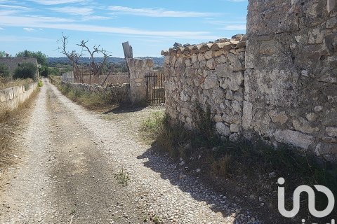 Liikekiinteistö myytävänä Llubi, Mallorca, Espanja ,  No. 153076 - kuva 22