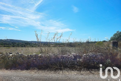 Liikekiinteistö myytävänä Llubi, Mallorca, Espanja ,  No. 153076 - kuva 2