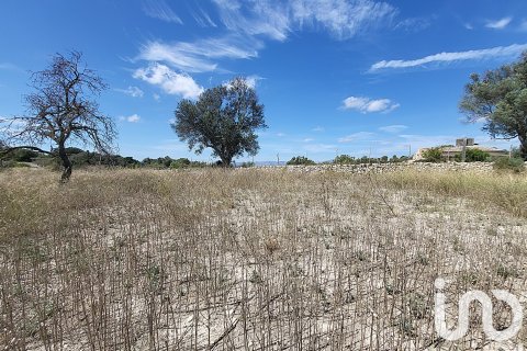 Liikekiinteistö myytävänä Llubi, Mallorca, Espanja ,  No. 153076 - kuva 20