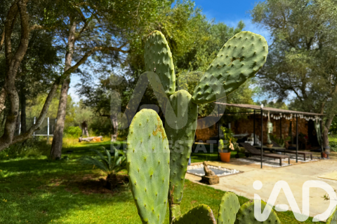 Talo myytävänä Sencelles, Mallorca, Espanja, 4 makuuhuonetta, 320 m2 No. 153079 - kuva 10